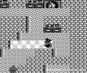 Painter Momo Pie Rom